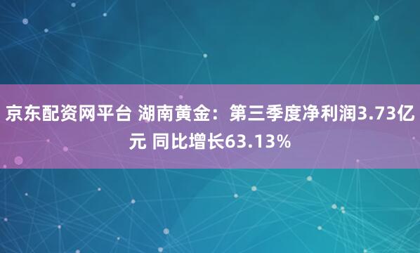 京东配资网平台 湖南黄金：第三季度净利润3.73亿元 同比增长63.13%