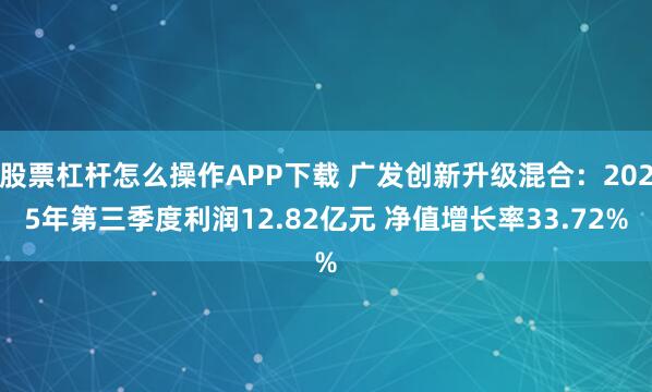 股票杠杆怎么操作APP下载 广发创新升级混合：2025年第三季度利润12.82亿元 净值增长率33.72%