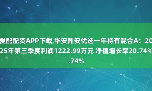 爱配配资APP下载 华安鼎安优选一年持有混合A：2025年第三季度利润1222.99万元 净值增长率20.74%