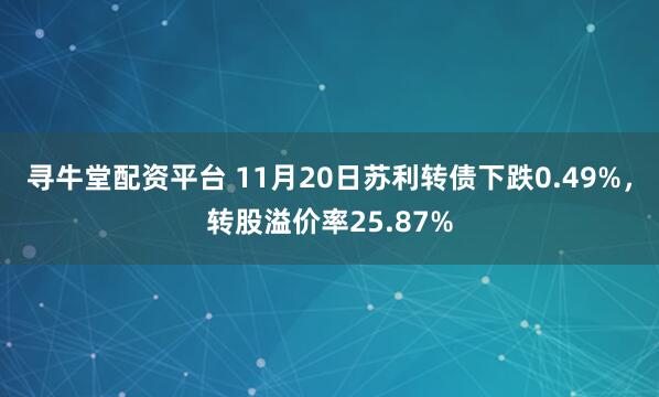 寻牛堂配资平台 11月20日苏利转债下跌0.49%，转股溢价率25.87%