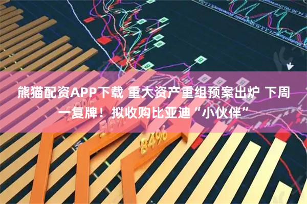 熊猫配资APP下载 重大资产重组预案出炉 下周一复牌！拟收购比亚迪“小伙伴”