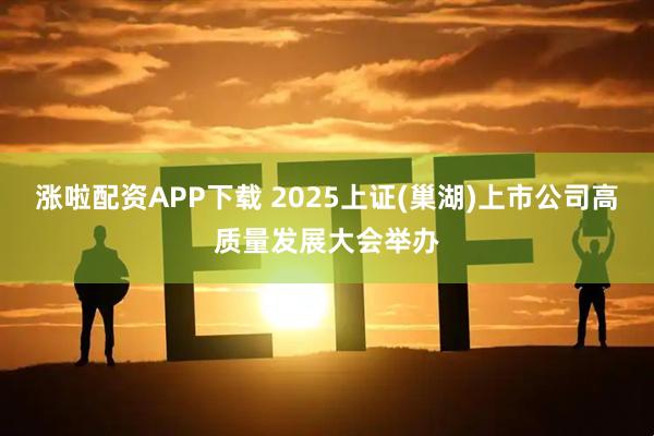 涨啦配资APP下载 2025上证(巢湖)上市公司高质量发展大会举办