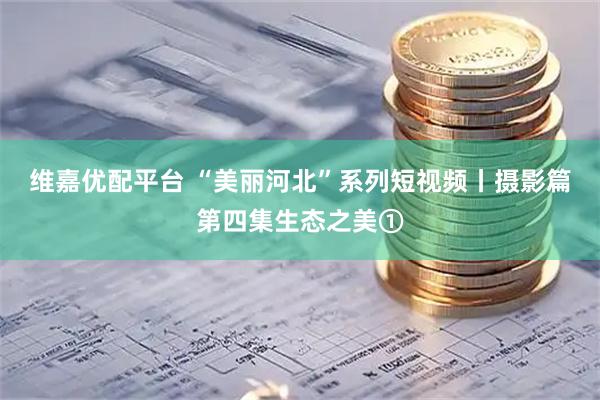 维嘉优配平台 “美丽河北”系列短视频丨摄影篇第四集生态之美①