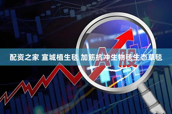 配资之家 宣城植生毯 加筋抗冲生物毯生态草毯