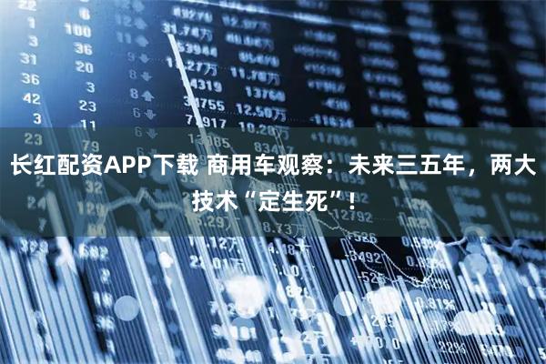 长红配资APP下载 商用车观察：未来三五年，两大技术“定生死”!